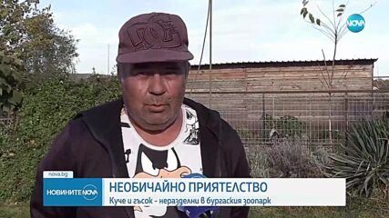 Необичайно приятелство: Куче и гъсок са неразделни в бургаския зоопарк (ВИДЕО)