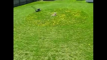 Автоматично косене на трева 