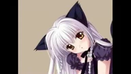 Nekomimi pics!!