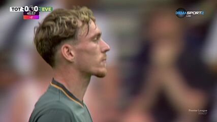 Tottenham Hotspur vs. Everton - 1st Half Highlights
