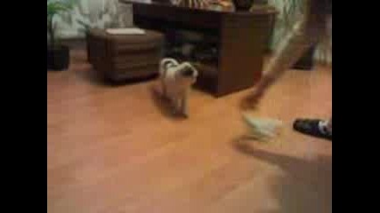 09022009037.3gp