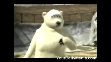 Британски Бели Мечки