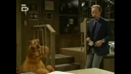 Alf.s03e15