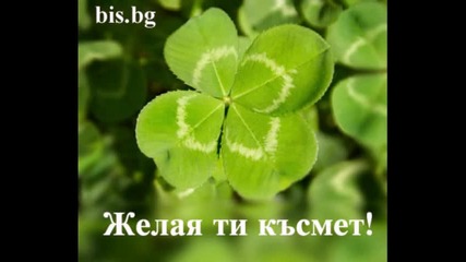 V Moqta Sadba Nqma Pravila.