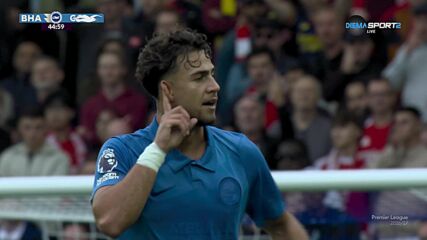 Goal by Brighton and Hove Albion