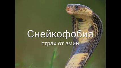 Избери си Страх!