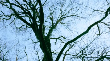 Jambinai - For Everything That You Lost