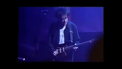 The Cure - Pictures of You (live in Detroit)
