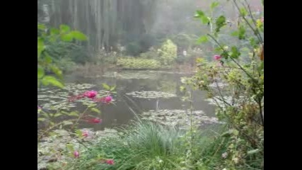 Chris Rea - Giverny 