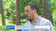 След пожара в София: Може ли замърсяването на въздуха да предизвика здравословни проблеми