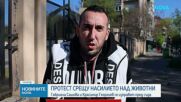 Протест пред Софийския градски съд срещу насилниците на животни