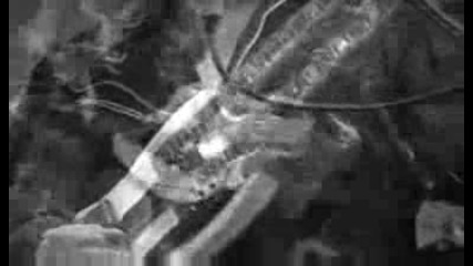 Tesla - Thank You