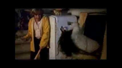 friday the 13th trailer 