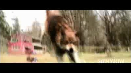 New Moon fan trailer