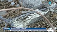 Новините на Нова (13.06.2016 - обедна емисия)