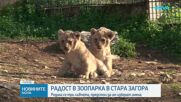 Радост в зоопарка в Стара Загора