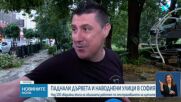Силна буря връхлетя София: Паднали дървета, градушка, наводнения и квартали без ток