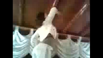 20062008(001).3gp