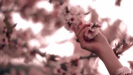 Tamar Kaprelian - New Day ( Official Music Video ) ( High Quality ) 