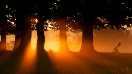 Mike Tohr - When Autumn Falls (original Mix)