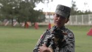 Кой е Командо - миниатюрното чихуахуа, което стана част от Националната гвардия на Мексико
