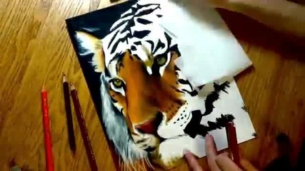 Страхотна рисунка на тигър!