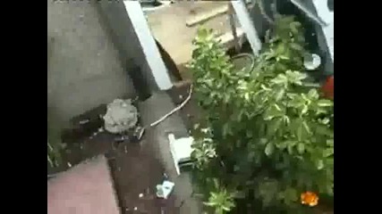 Brick in a Washing Machine