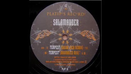 Salamander - Tempest (union Jack Remix) 