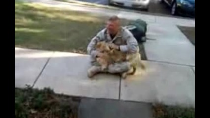 Dog Cries When Soldier Returns Home