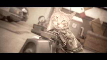 Коте + картечница= масово унищожение!