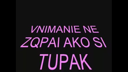 Kotki