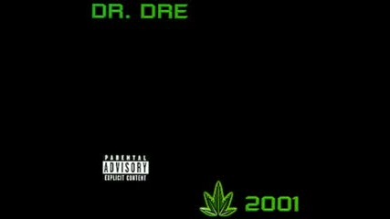 Dr. Dre - The Next Episode (instrumental)