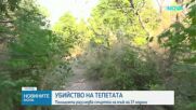 Мъж почина след жесток побой в Пловдив