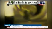 Самолет блъсна бик на пистата на индийското летище Сурат