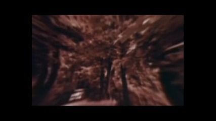 Die - Iron & Wine