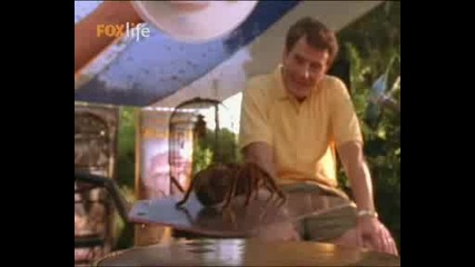 Malcolm In The Middle.0x46.tvrip.xvid