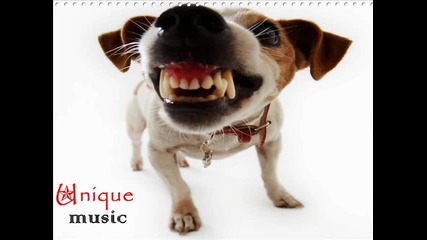 Unique Music™ - Dont shake my Dog