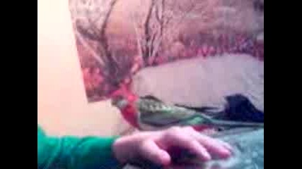 Рози
