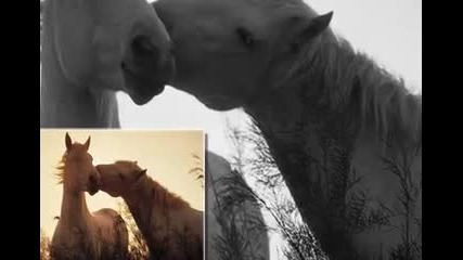 Love story