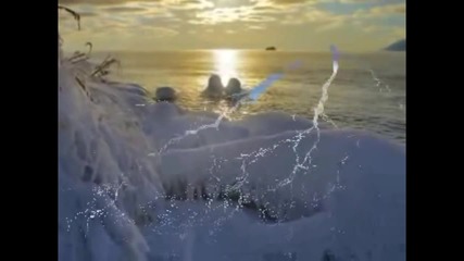 Тоника С В - Зима