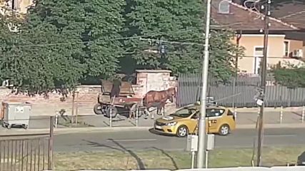 Разграбване на общински имот