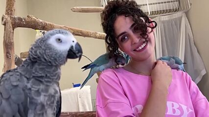 Чуйте певицата, която изнася серенади на своите папагали