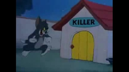 Tom And Jerry(bg Parody)