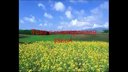 Любовта в брака