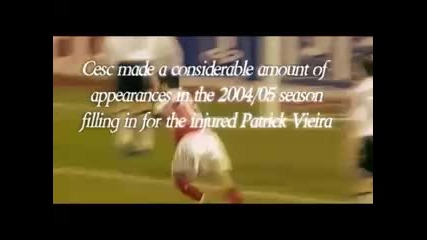 The Francesc Fabregas Biography 