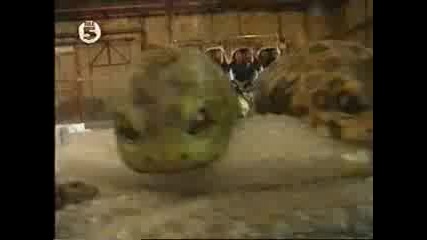 Michael Jackson - рекламата на Пепси - Who is it - зад сцената 