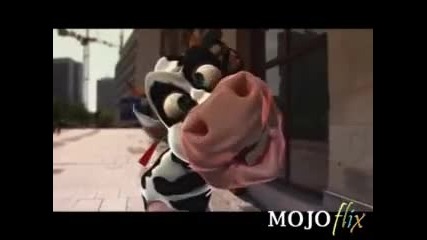 Crazy cow