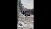 "Моята новина": Случаят с палмата продължение, видео 2