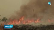 Опостушителен пожар в Аржентина изпепели над 5 милиона декара земя