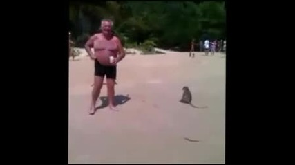 Маймуни съблякоха дядо на плажа